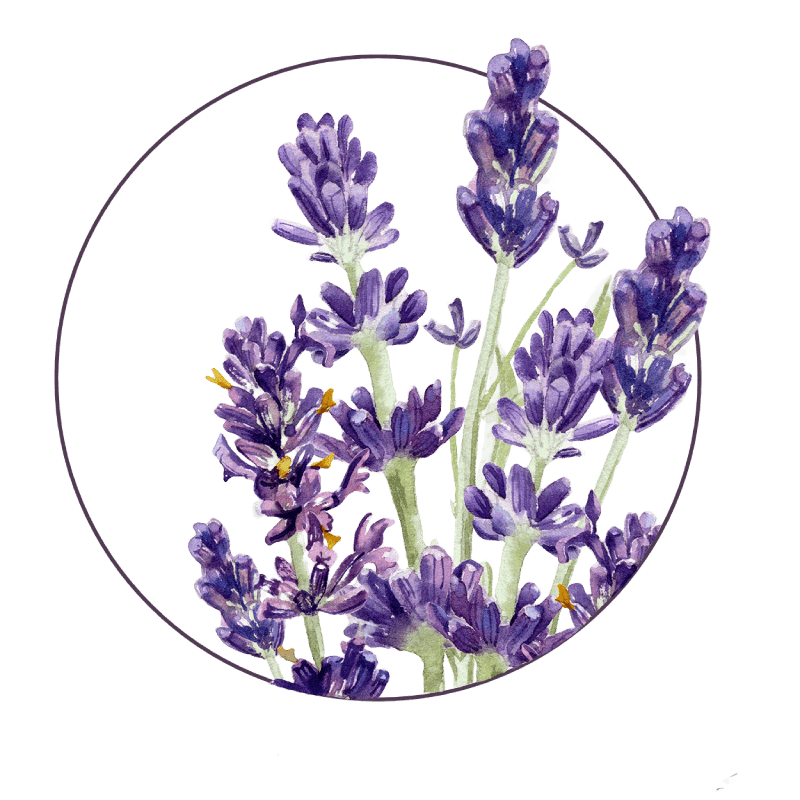 klinika clipart flowers